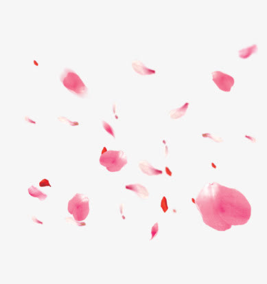 创意合成场景设计粉红色的花瓣免抠