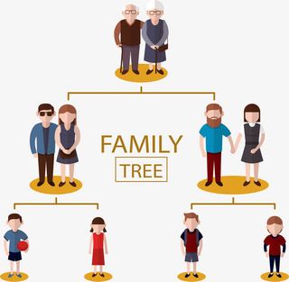 祖孙三代家庭树免抠