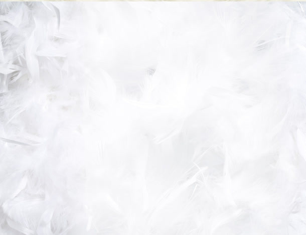 白色羽绒大屏背景免抠