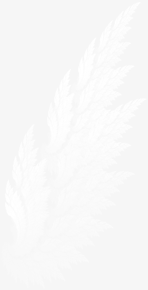 翅膀免抠