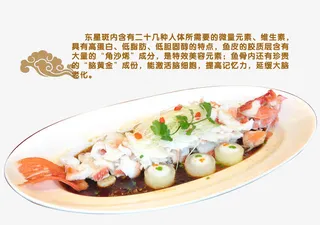 粤菜之清蒸东星斑免抠