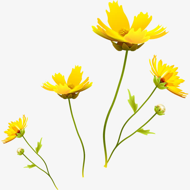 黄色的花瓣免抠