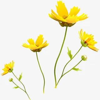 黄色的花瓣免抠