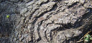 淘宝背景图高清