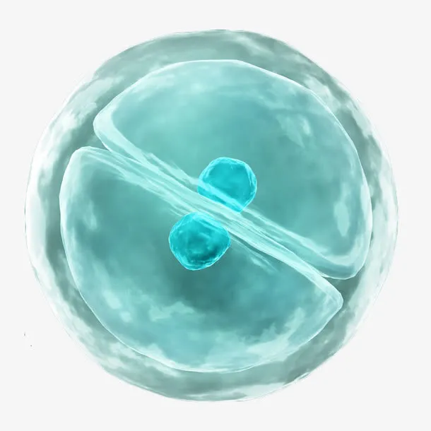 蓝色细胞分子免抠