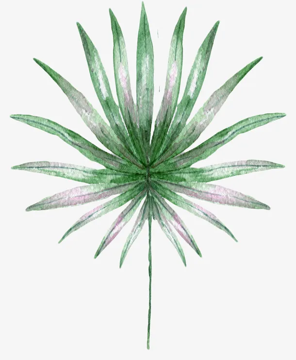 手绘水彩树枝树叶免抠