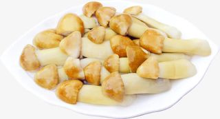 一盘滑子蘑免抠