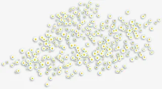 白色清新春天花朵装饰免抠