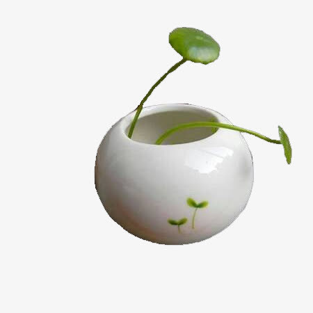 盆中景荷叶免抠