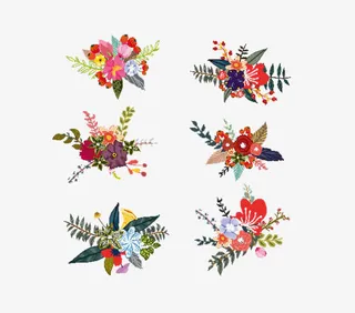 花朵花卉植物边框矢量素材免抠