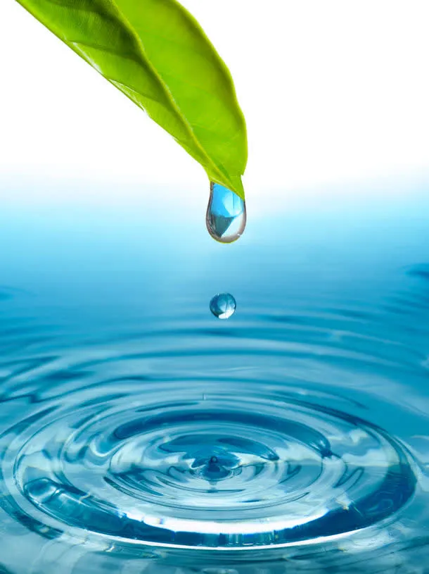 树叶水滴与水纹免抠背景底纹元素