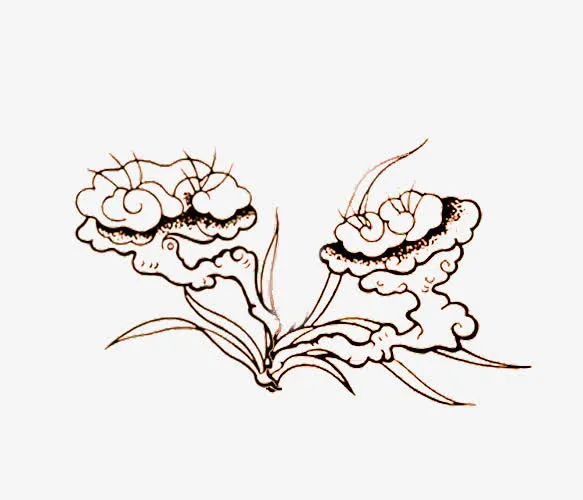 手绘灵芝免抠