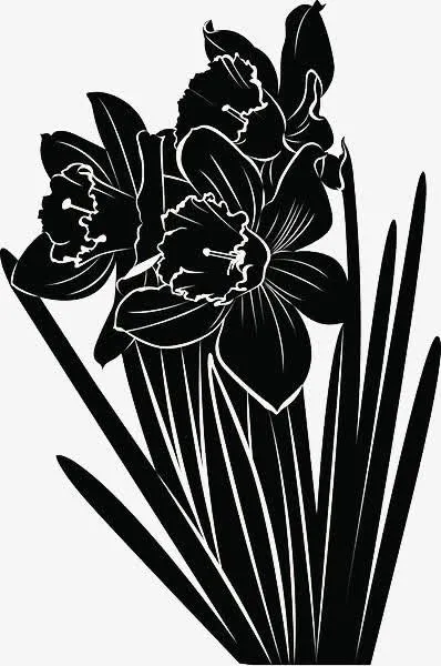 黑色水仙花手绘剪影免抠