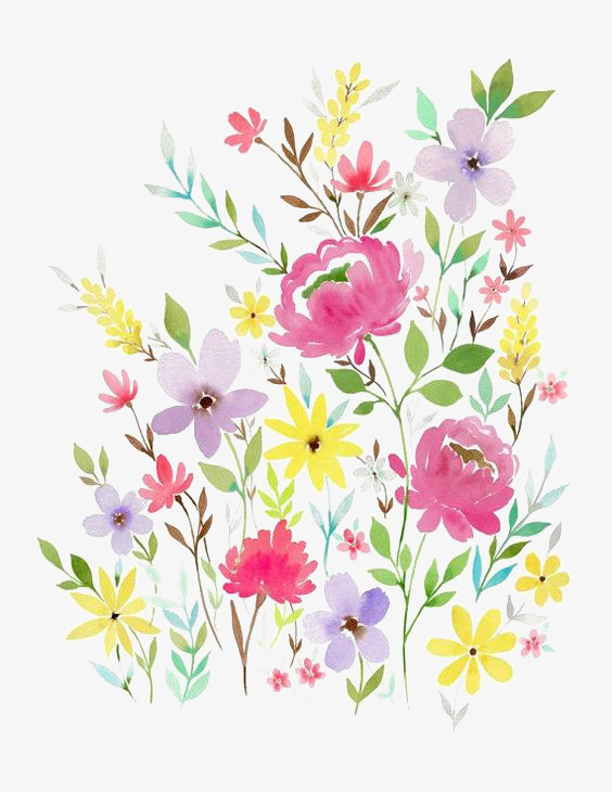 手绘花卉免抠