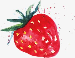 矢量手绘水果免抠