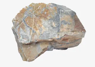 地质黄色化石免抠