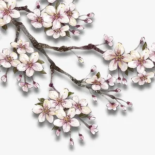 美丽的桃花免抠