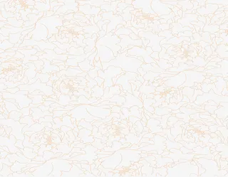 红牡丹花纹免抠装饰花纹元素