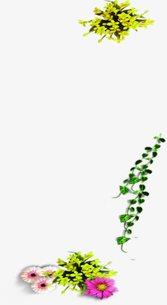 春天清新黄粉色花朵藤蔓免抠
