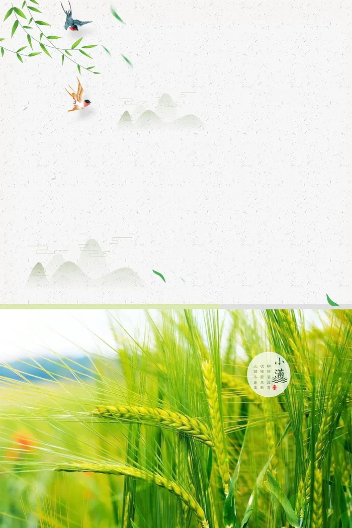 小清新二十四节气小满背景模板高清