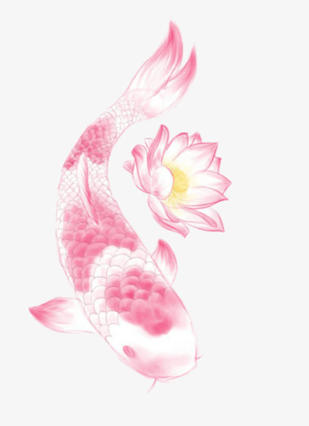 矢量彩绘免抠