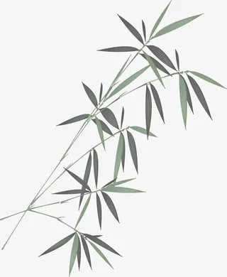水墨创意竹叶设计免抠