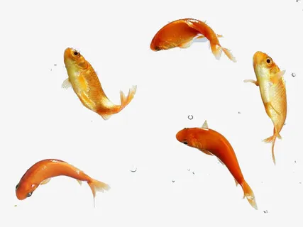 我也偶尔会一跃而起亲一亲太阳免抠