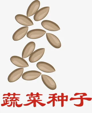 种子发芽卡通阳光种子免抠