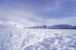 圣诞雪天背景（01920*1280）高清