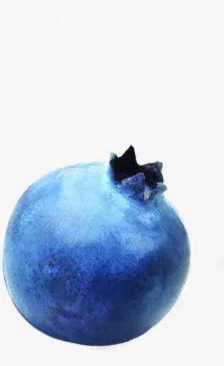 蓝莓新鲜素材七夕情人节免抠