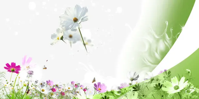 背景图案 绿色背景图 树木 野