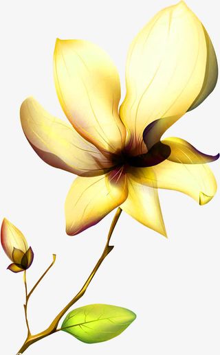 黄色创意水墨风格高清合成效果免抠