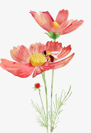 粉红色唯美水彩八瓣梅矢量图免抠