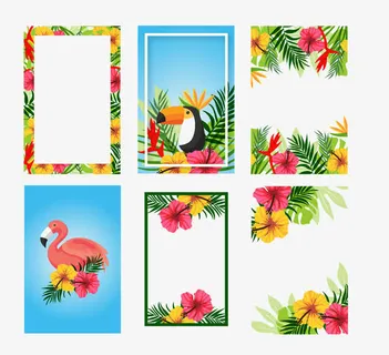 花边框免抠 花边框免抠