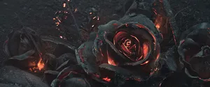 火焰玫瑰背景高清