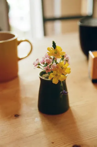 唯美的四叶草盆栽与杯子免抠