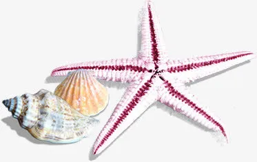 海滩夏季海边素材免抠