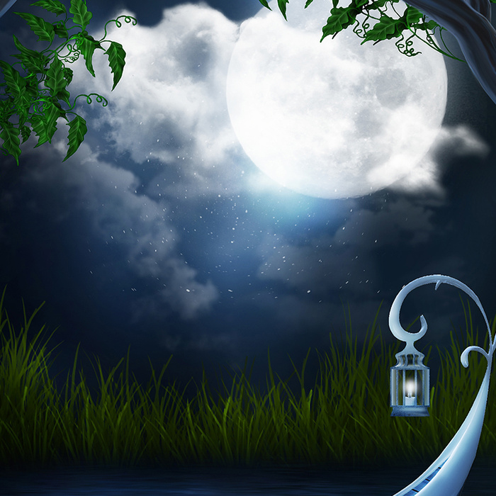 魔幻的深林里总会有精灵的出现高清
