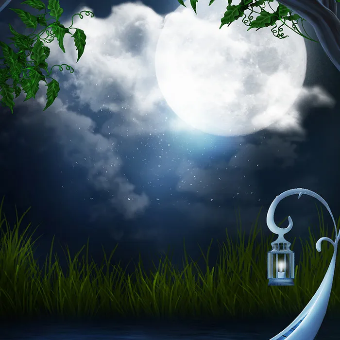 魔幻的深林里总会有精灵的出现高清