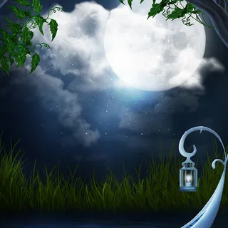 魔幻的深林里总会有精灵的出现高清 魔幻的深林里总会有精灵的出现高清