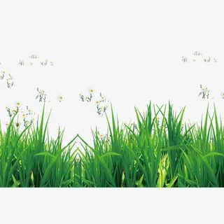 芳草悠悠免抠