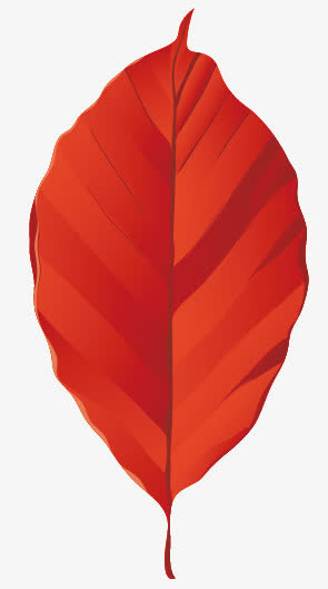 树叶免抠
