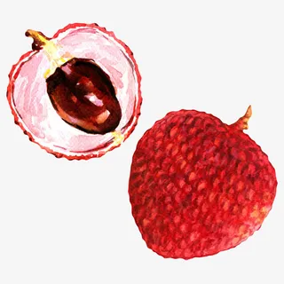 红色新鲜荔枝卡通手绘免抠