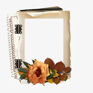 边框素材边框图标免抠