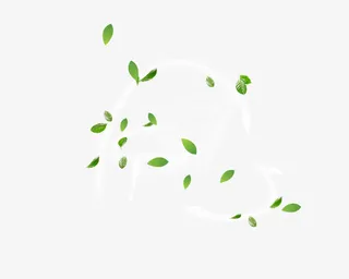 唯美风吹绿叶免抠