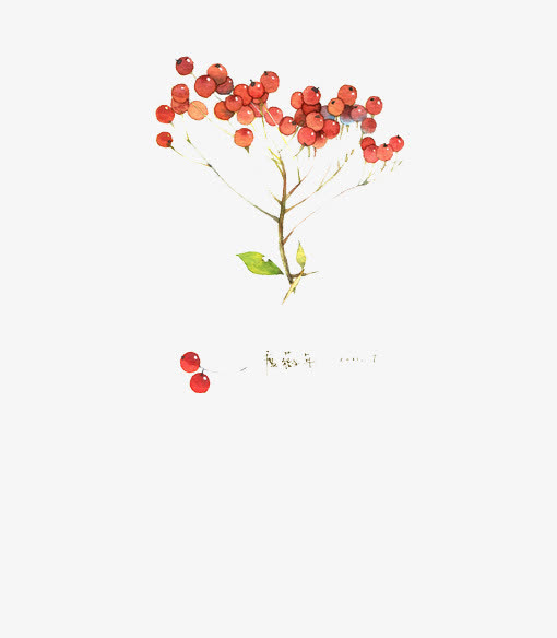 手给红色小水果树枝免抠
