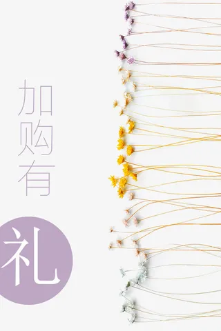 加购有礼日系风格免抠