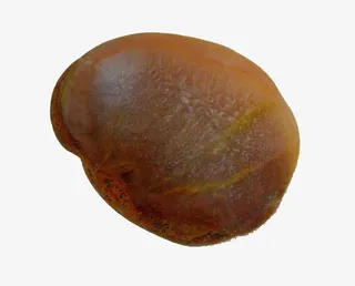 美丽的雨花石免抠