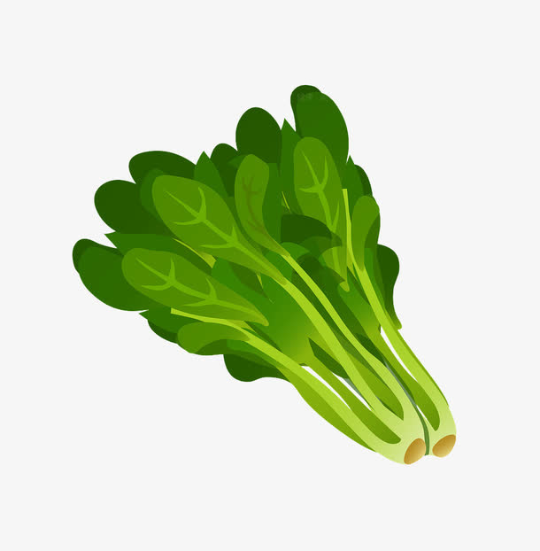 绿色的青菜免抠