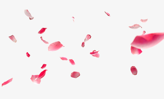 漂浮的红色花瓣樱花免抠漂浮花瓣元素